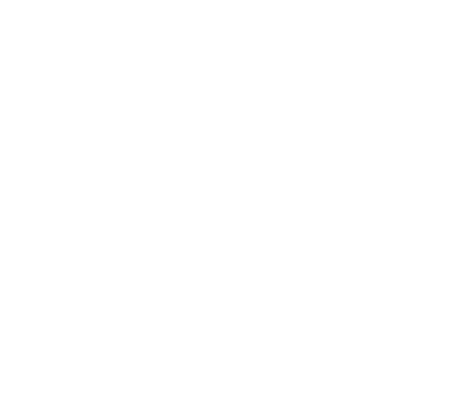 Partner PIA White Icon